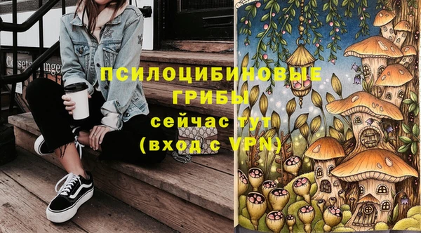 бутират Алексеевка