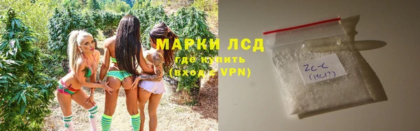 сатива Алзамай